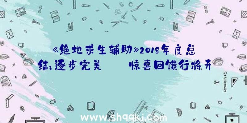 《绝地求生辅助》2018年度总结：逐步完美